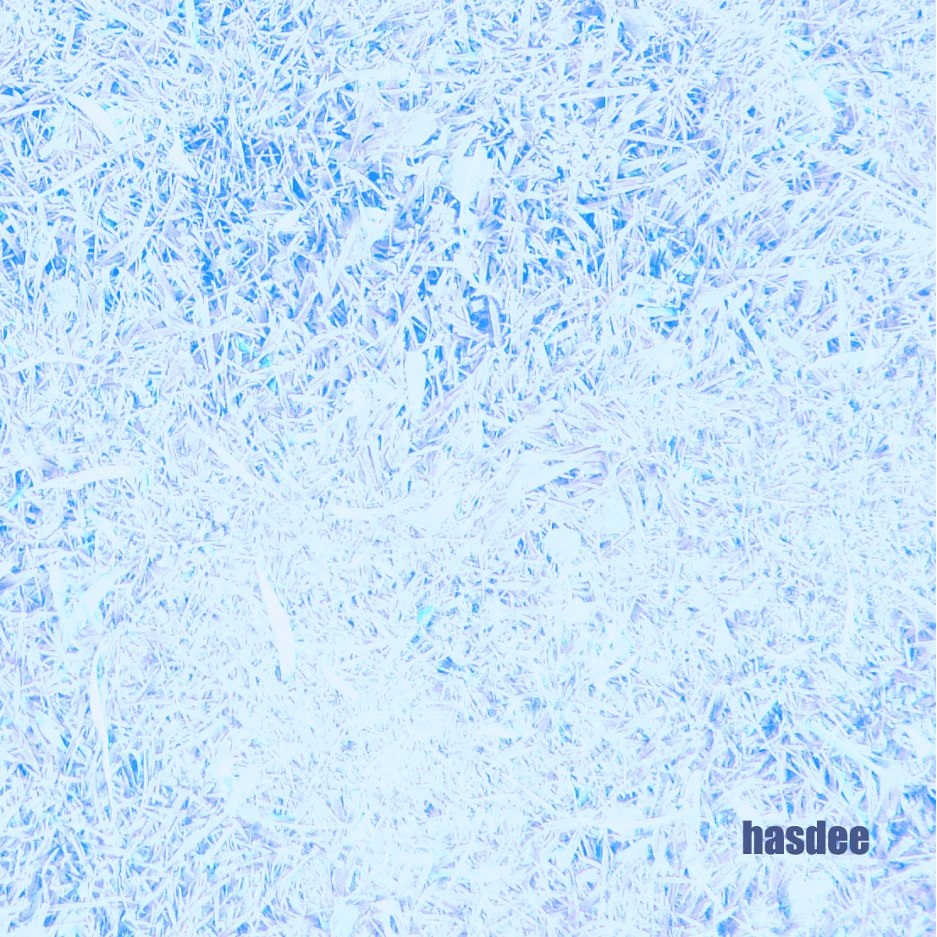 hasdee (2012)